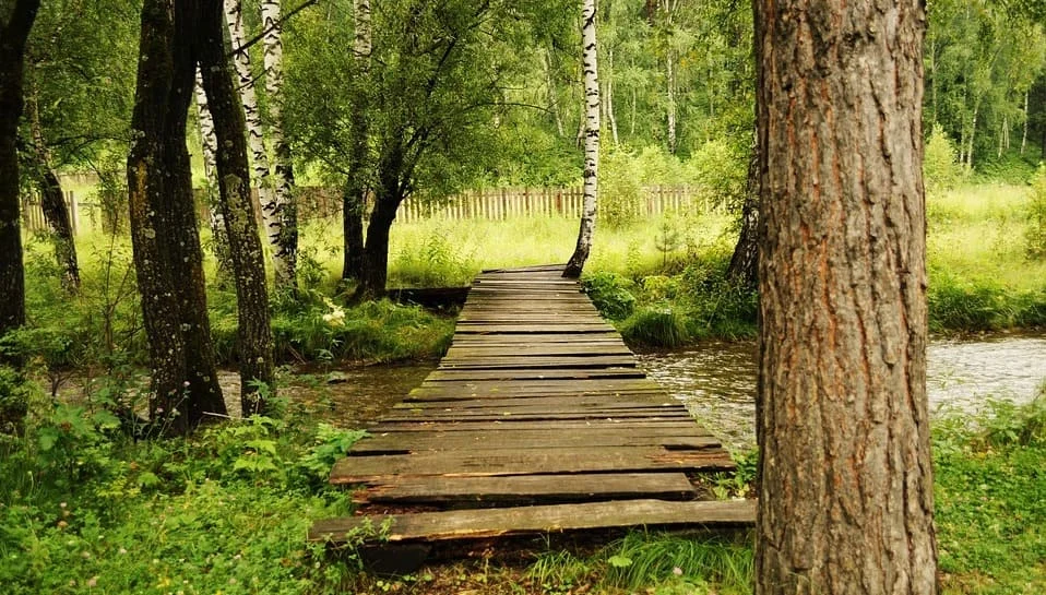 Puente de liberación del trauma familiar